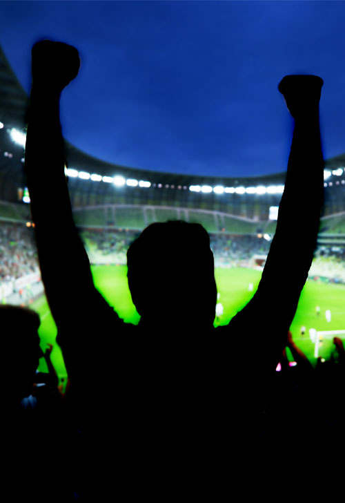 Fans Analysis